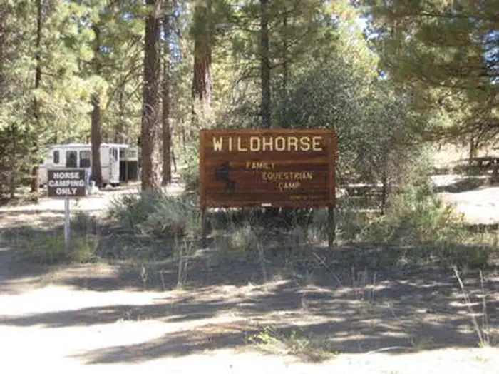 WILD HORSE EQUESTRIAN FAMILY photo 5