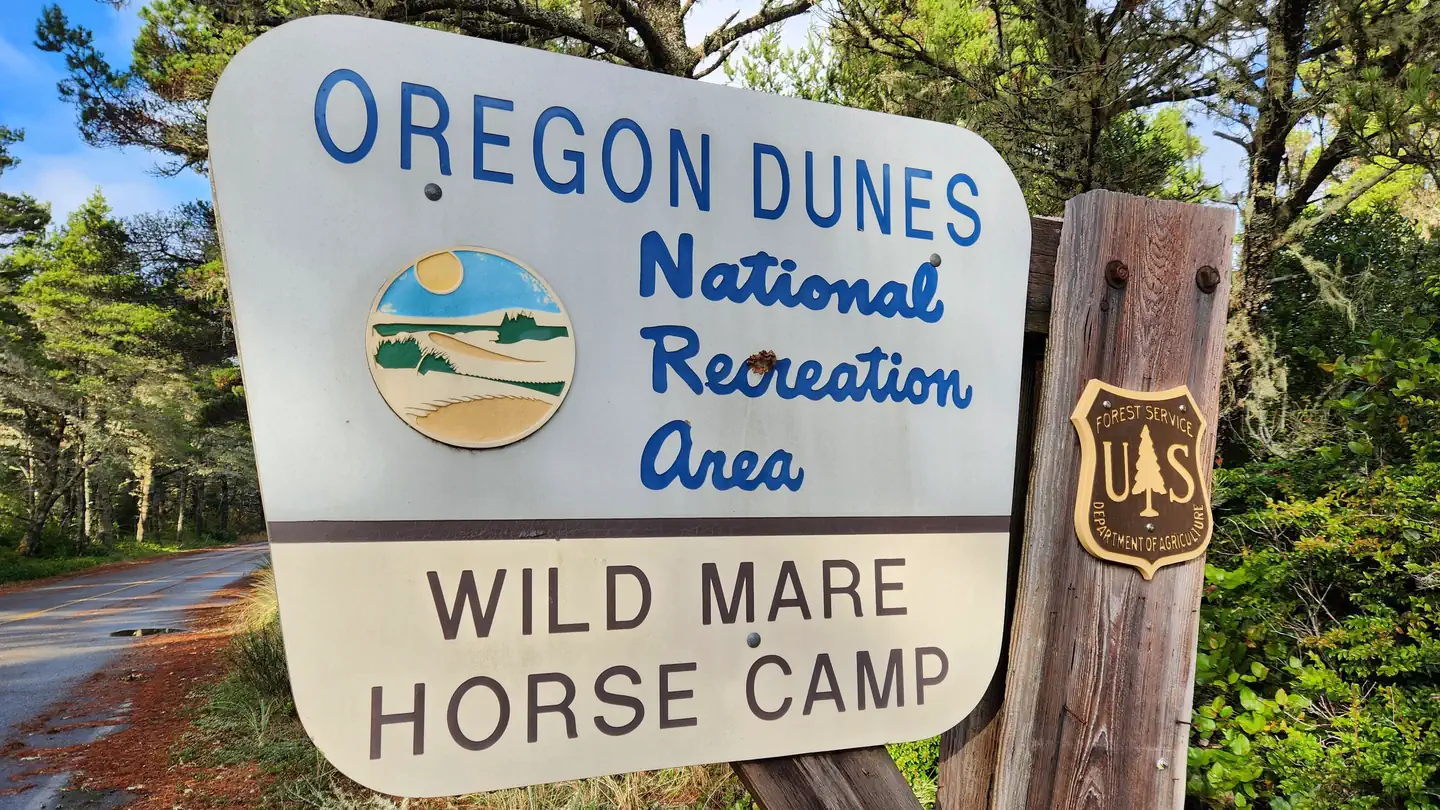WILD MARE HORSE CAMP photo