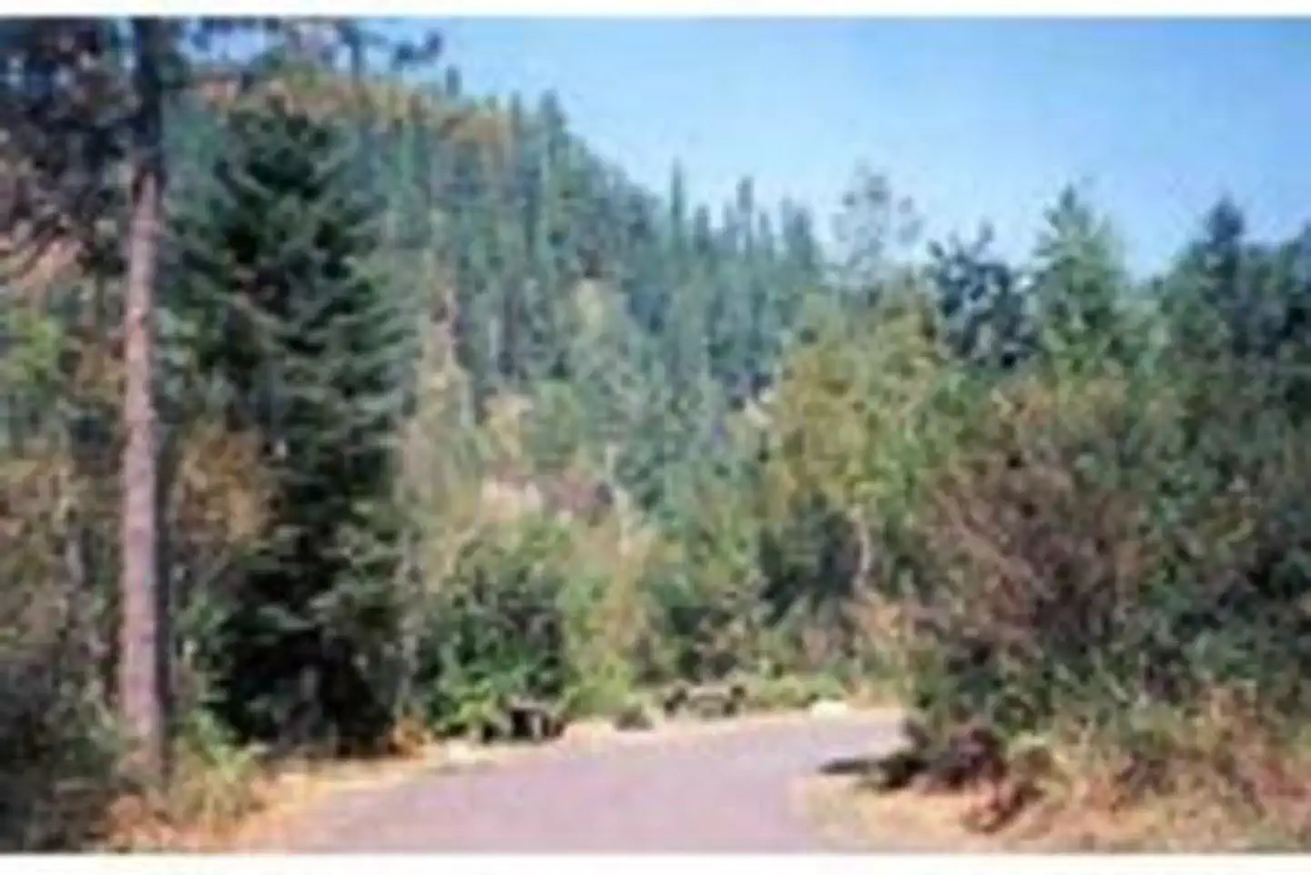 WILDERNESS GATEWAY photo 4