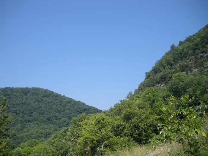 Wilderness Road Campground photo 2