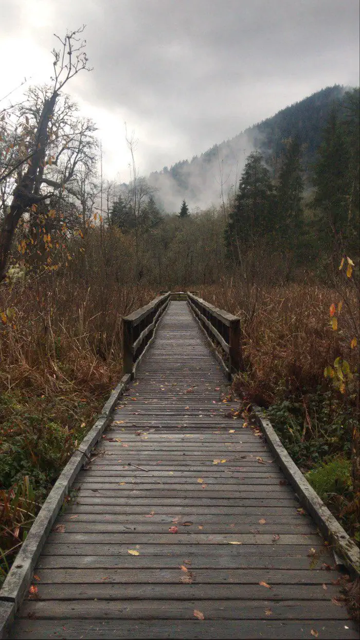 WILDWOOD RECREATION SITE photo 3