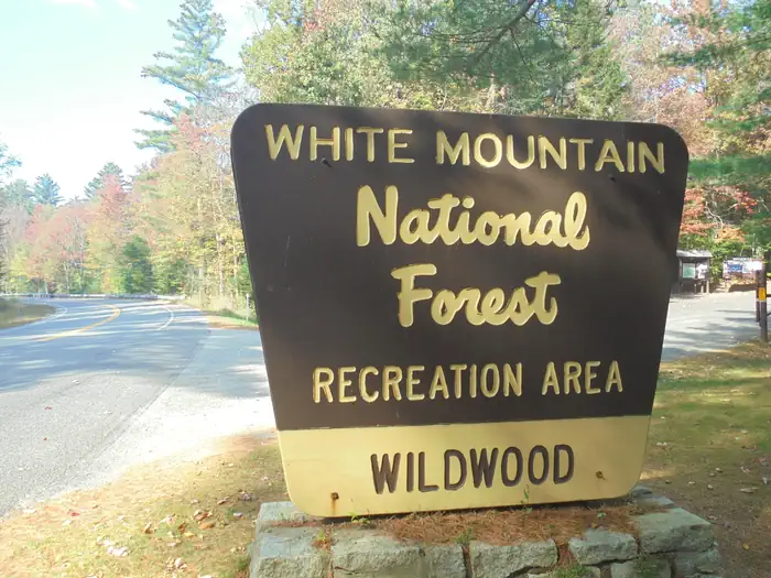 Wildwood photo