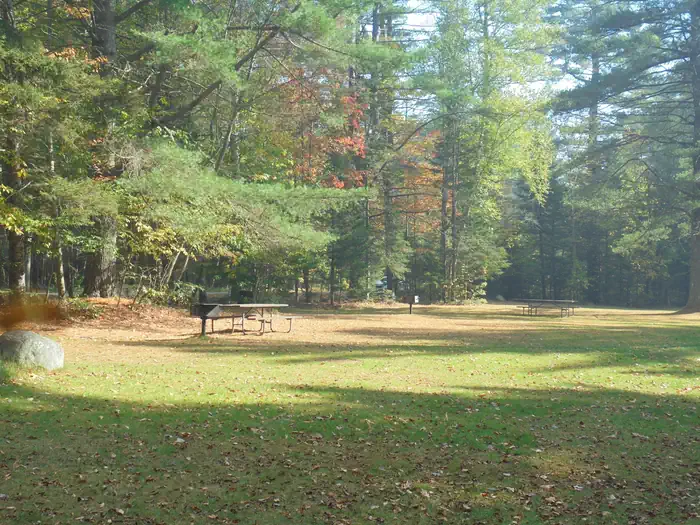 Wildwood photo 3