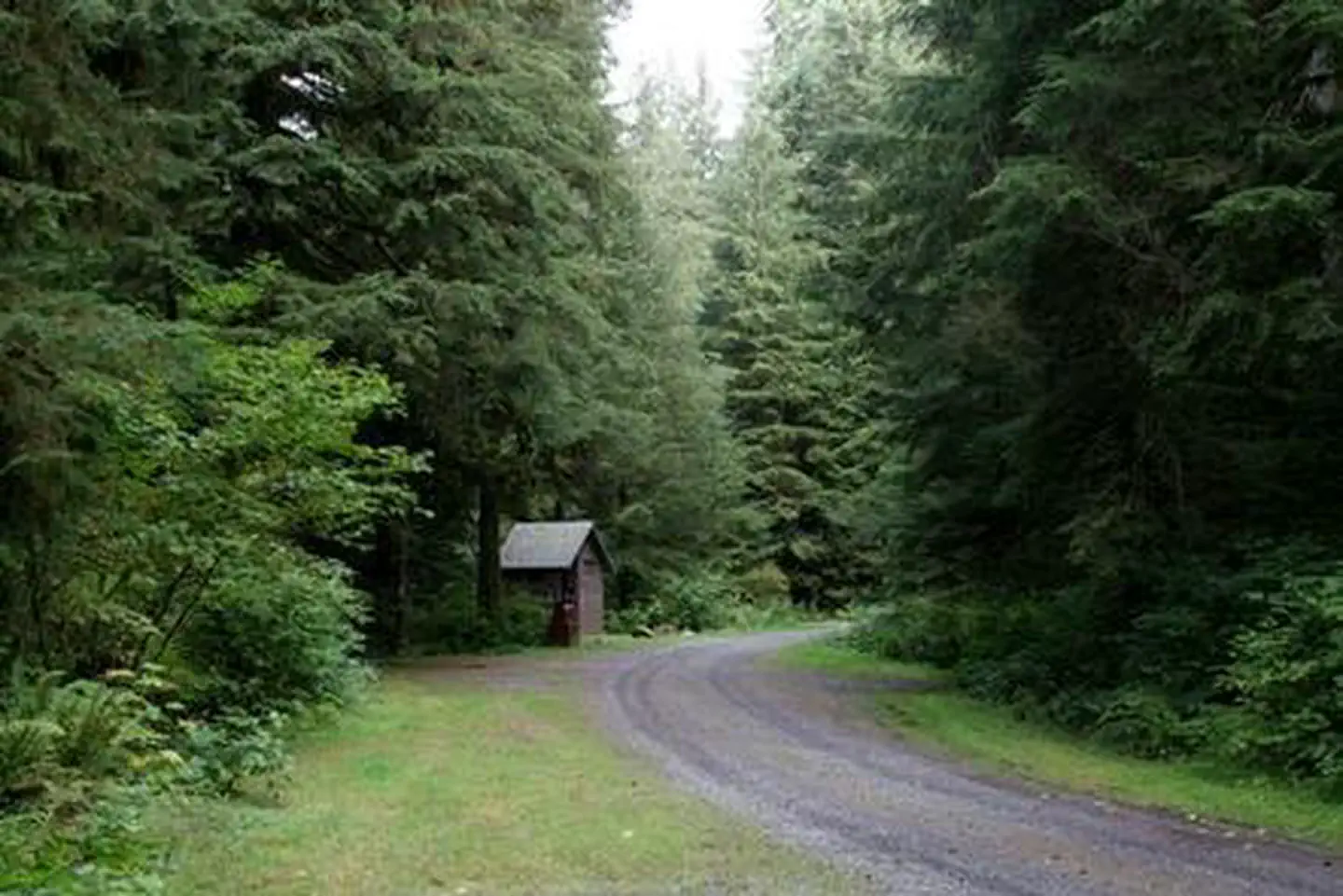 Wiley Creek Group Camp photo 4