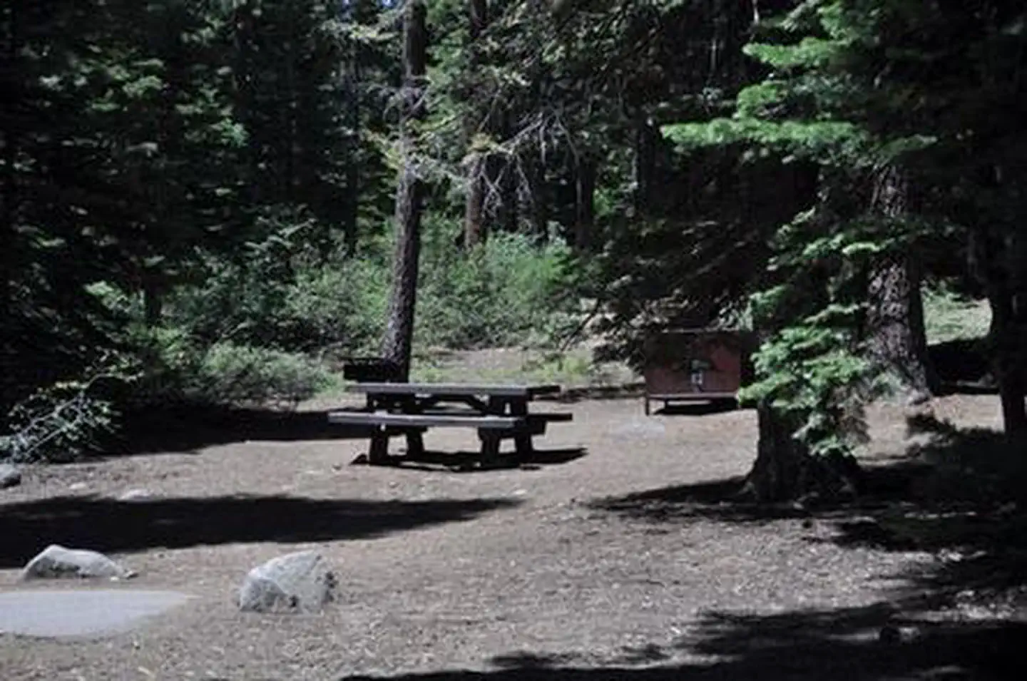 WILLIAM KENT CAMPGROUND photo 4
