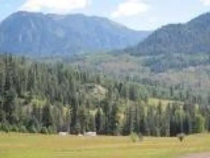 WILLIAMS CREEK CAMPGROUND photo 4