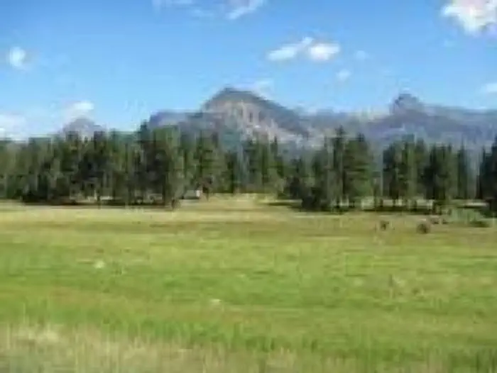 WILLIAMS CREEK CAMPGROUND photo 5