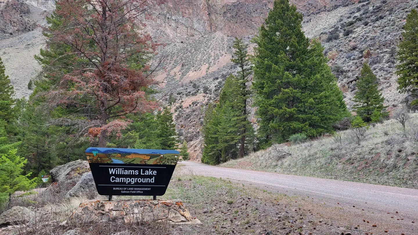 Williams Lake Campground photo