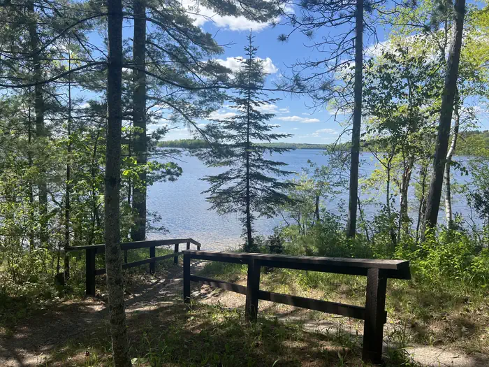 WILLIAMS NARROWS photo 4