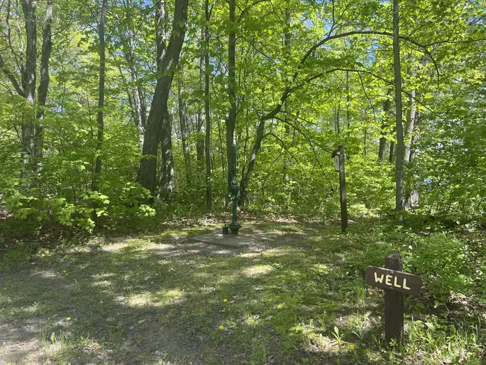 WILLIAMS NARROWS photo 5