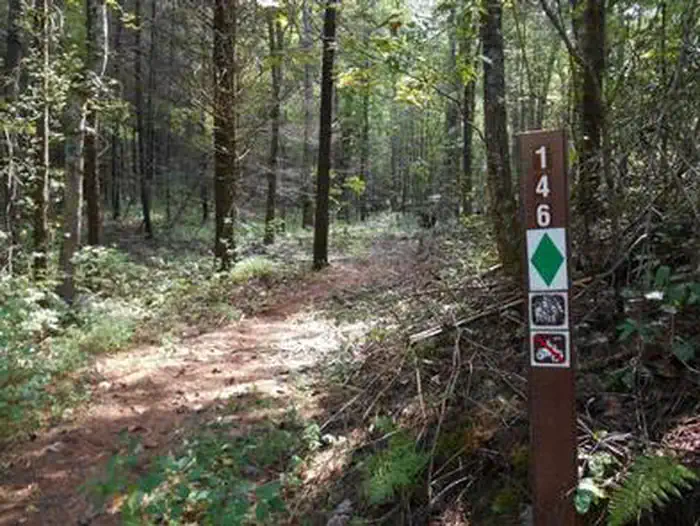 WILLIS KNOB HORSE CAMP photo 3