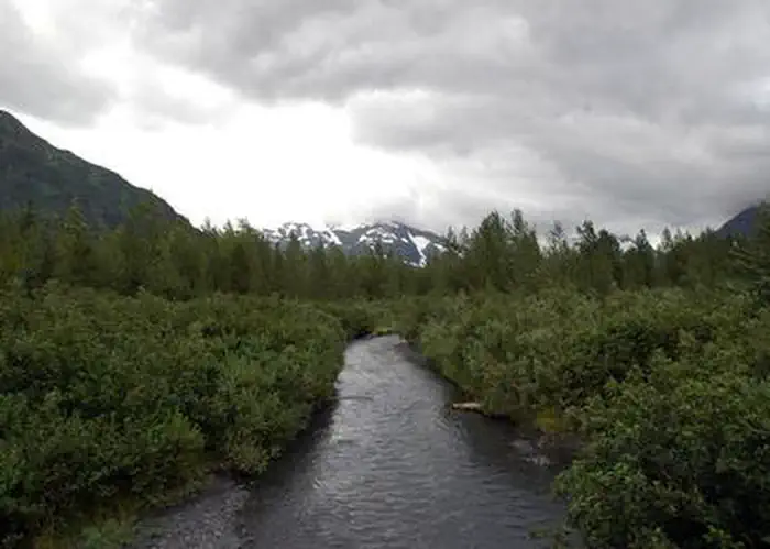 WILLIWAW CAMPGROUND photo