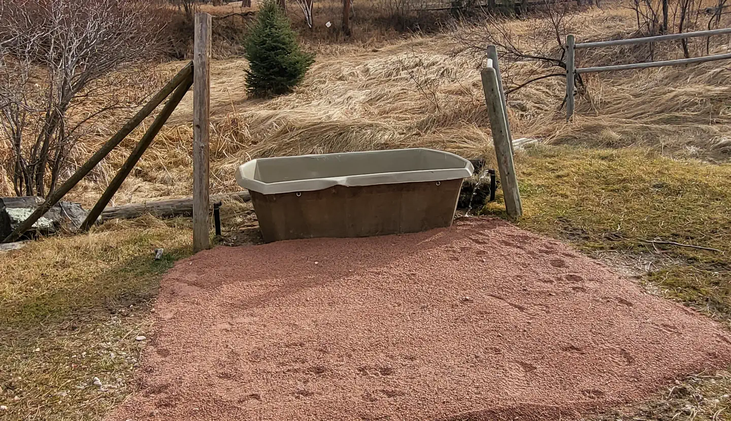 WILLOW CREEK HORSE CAMP photo 4