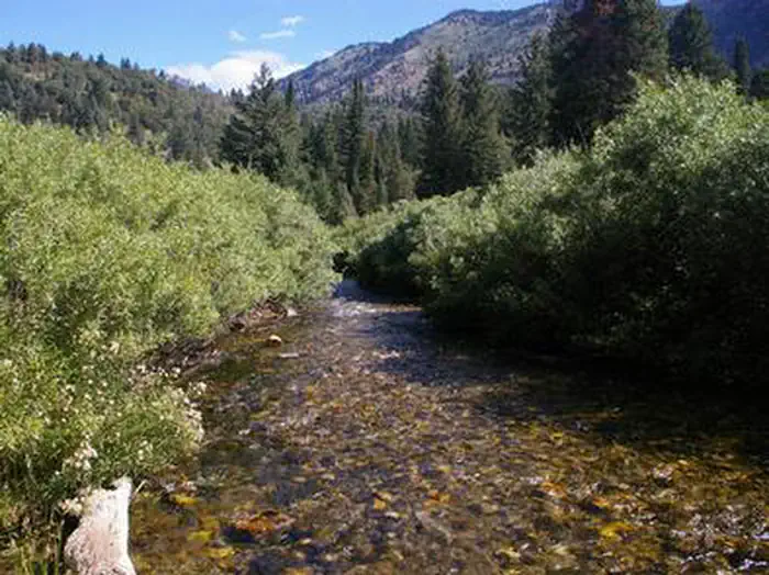 WILLOW FLAT CAMPGROUND photo 4