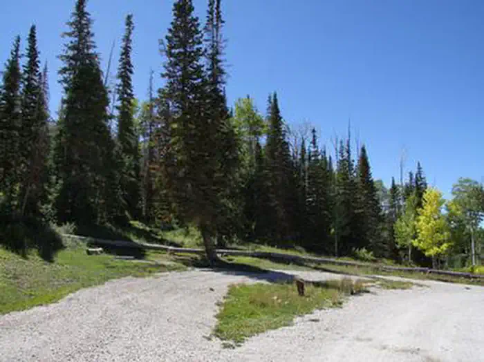 WILLOW LAKE photo 4