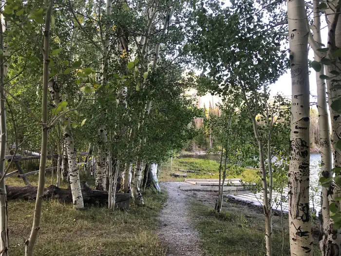 WILLOW LAKE photo 5