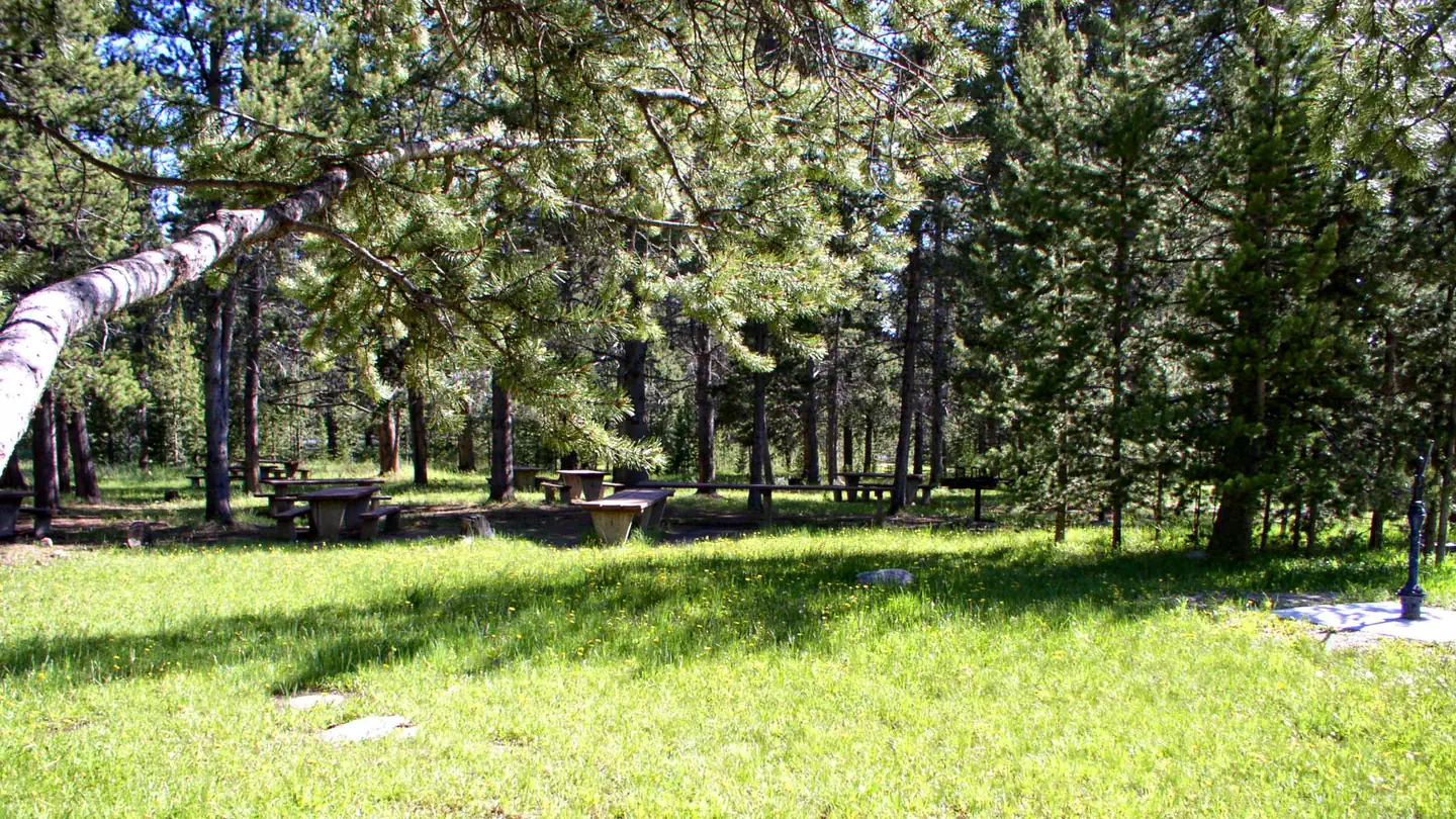 WILLOW PARK photo