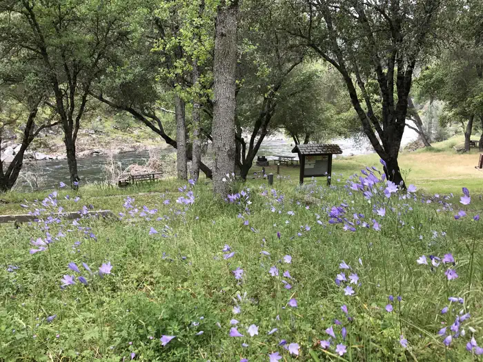 Willow Placer Campground photo 3