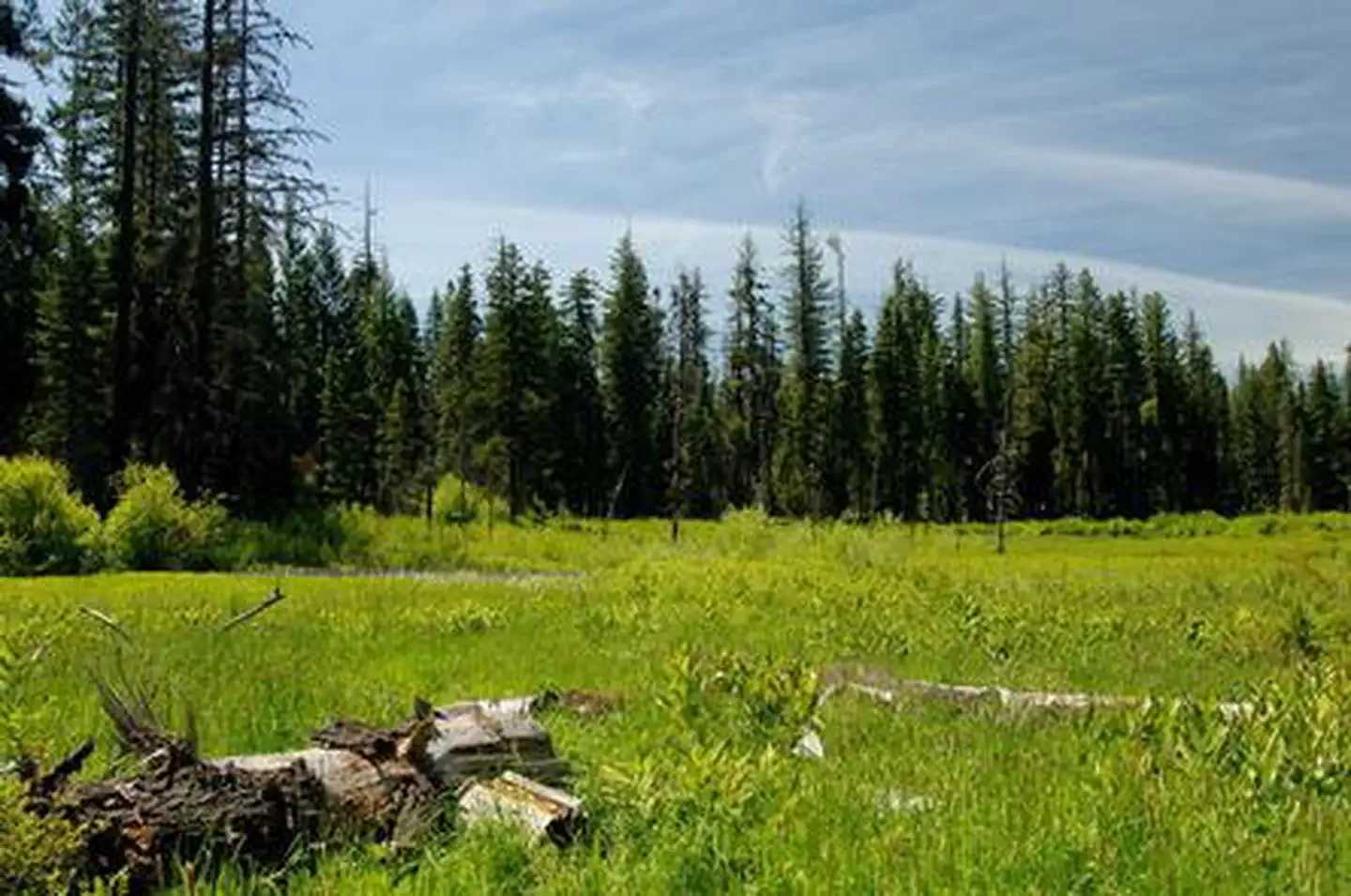WILLOW PRAIRIE CABIN photo 3