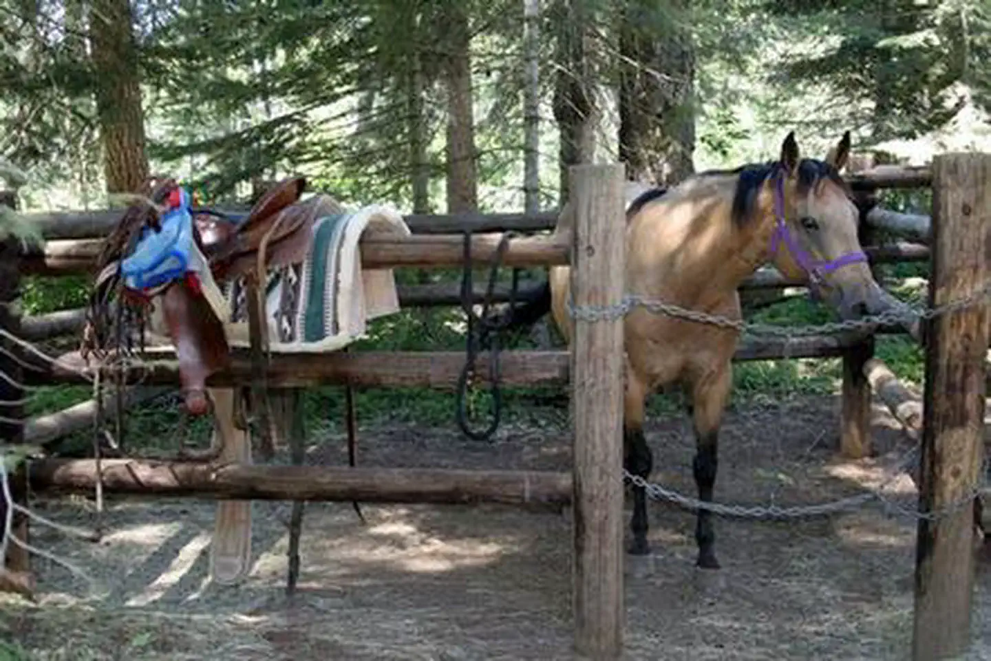WILLOW PRAIRIE HORSECAMP photo