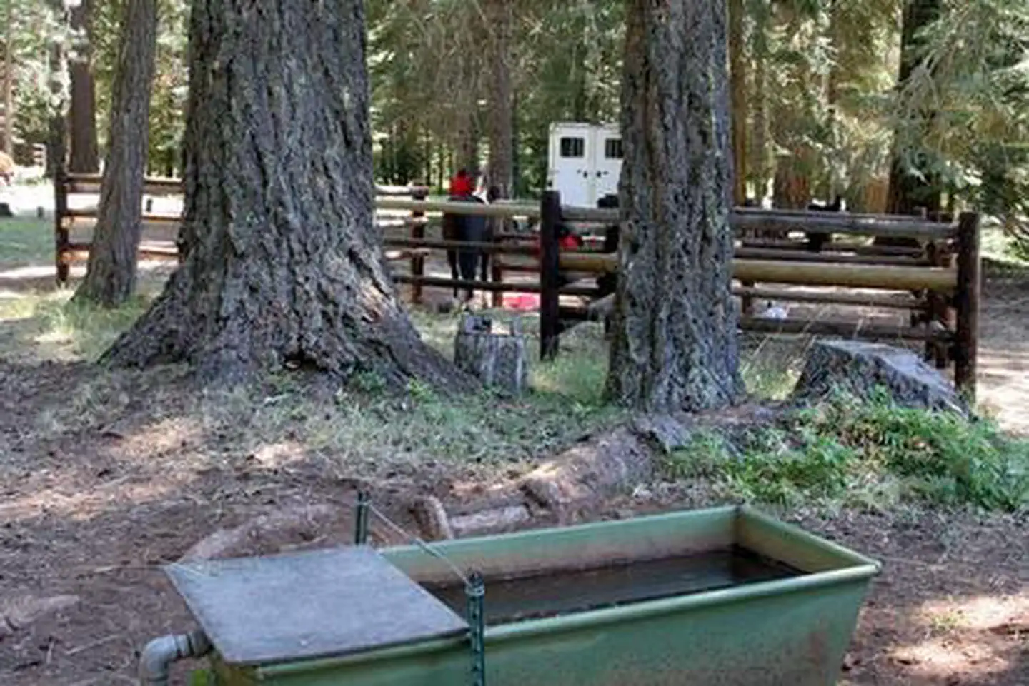 WILLOW PRAIRIE HORSECAMP photo 2