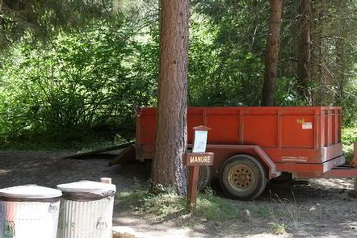 WILLOW PRAIRIE HORSECAMP photo 3