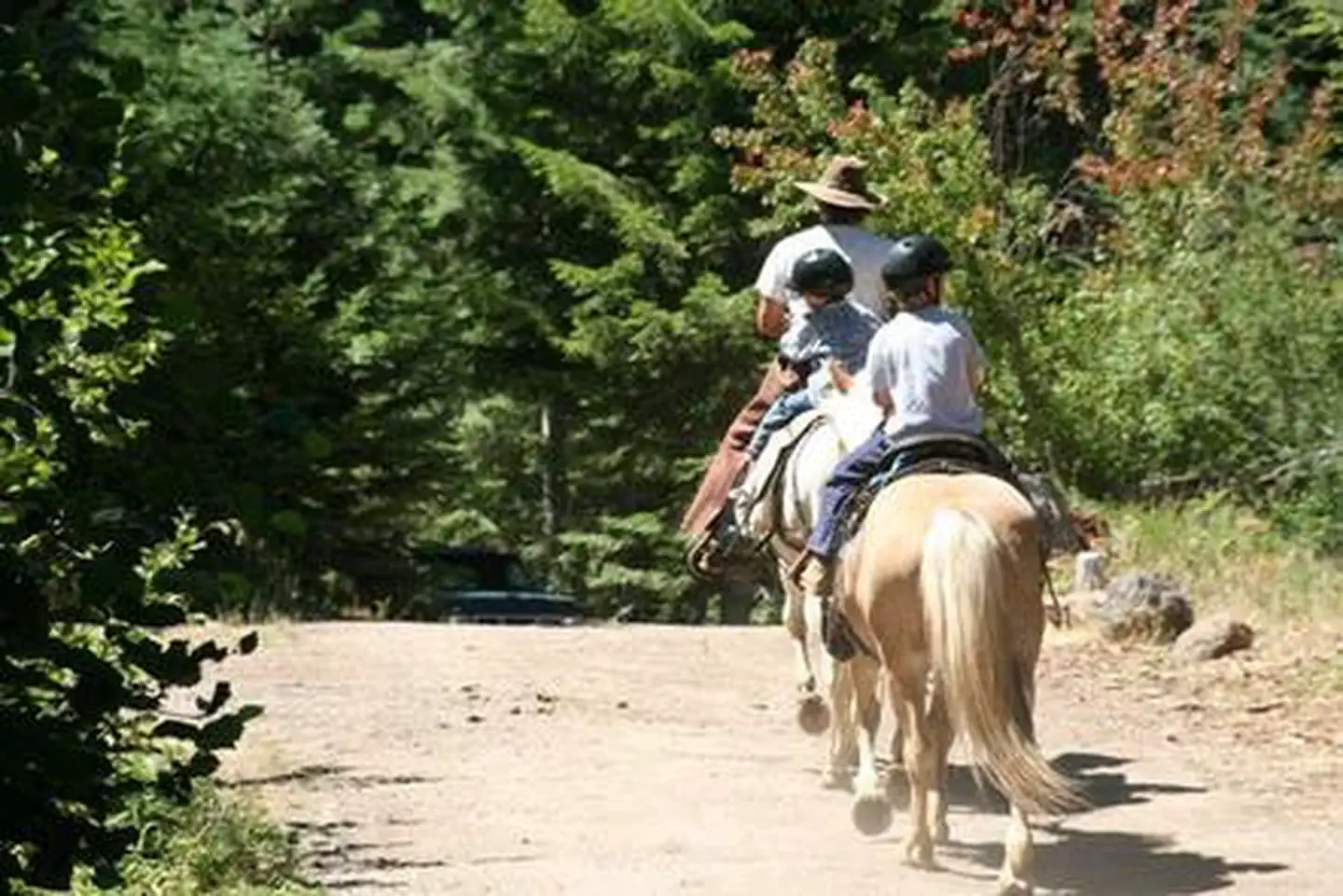 WILLOW PRAIRIE HORSECAMP photo 4