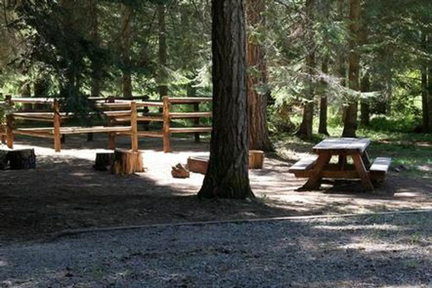 WILLOW PRAIRIE HORSECAMP photo 5