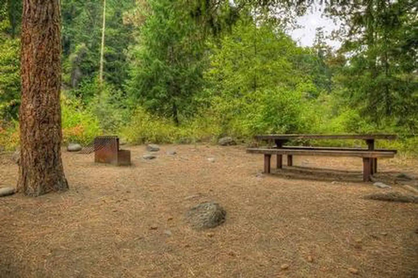 Willows Campground photo