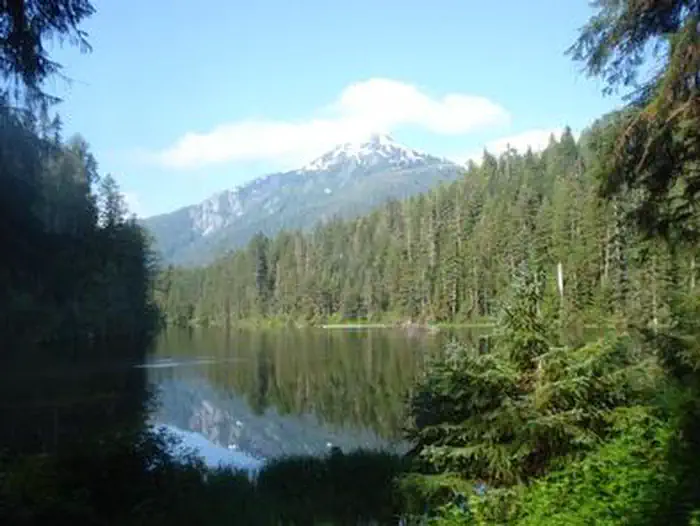 WILSON NARROWS CABIN photo 5