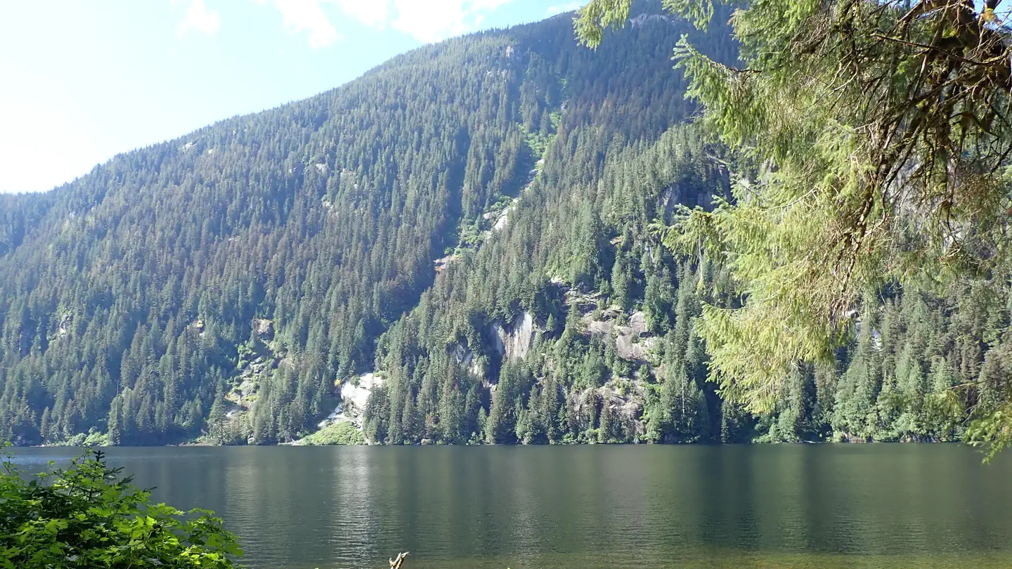 WILSON VIEW CABIN photo