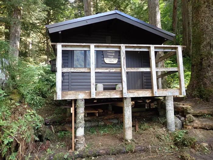 WILSON VIEW CABIN photo 3