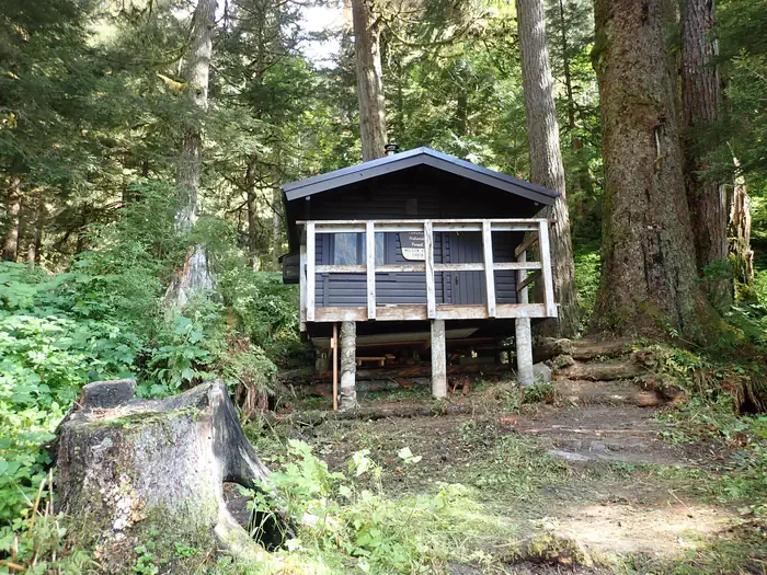 WILSON VIEW CABIN photo 4