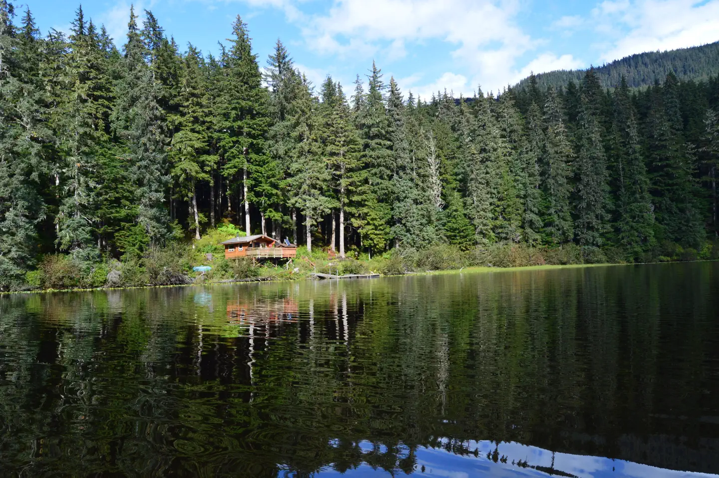 WINDFALL LAKE CABIN photo 5