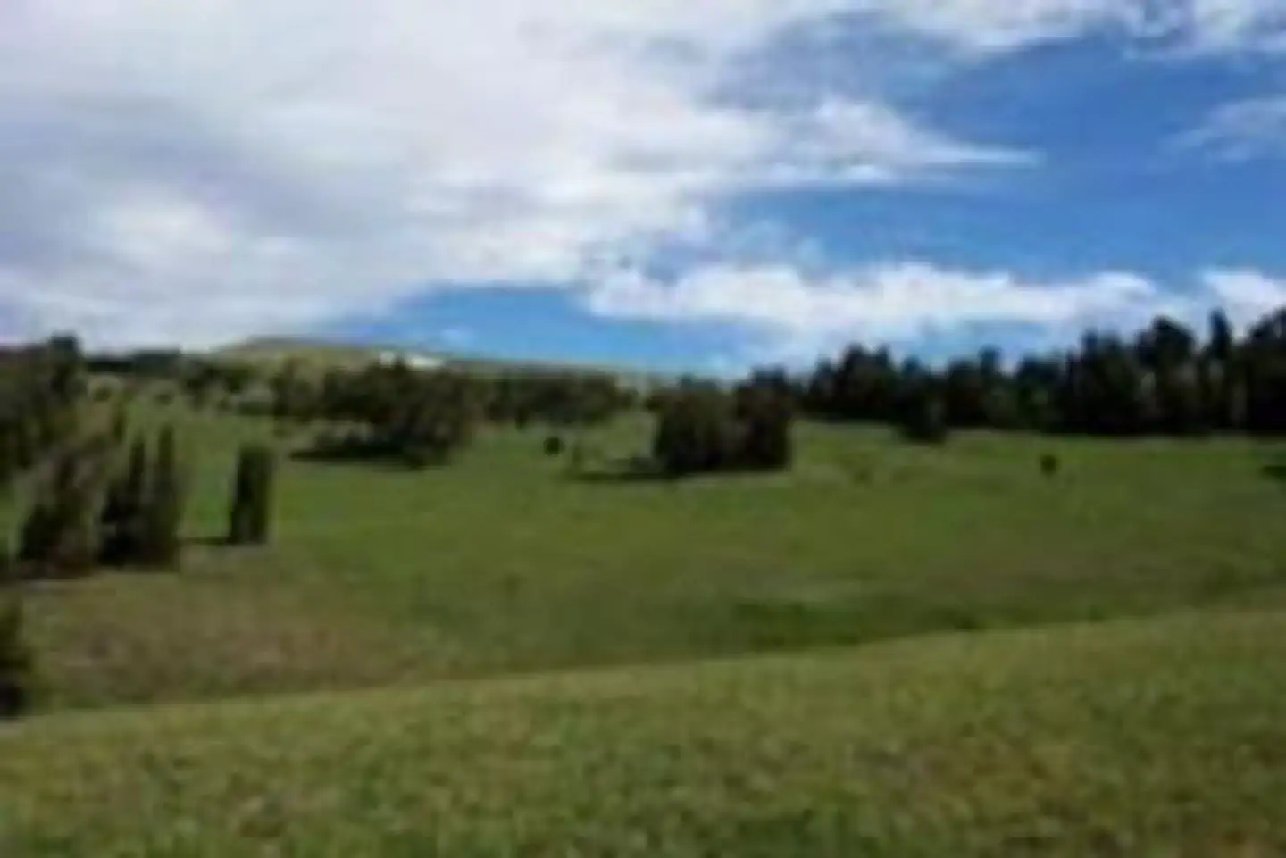 WINDY PASS CABIN photo 2