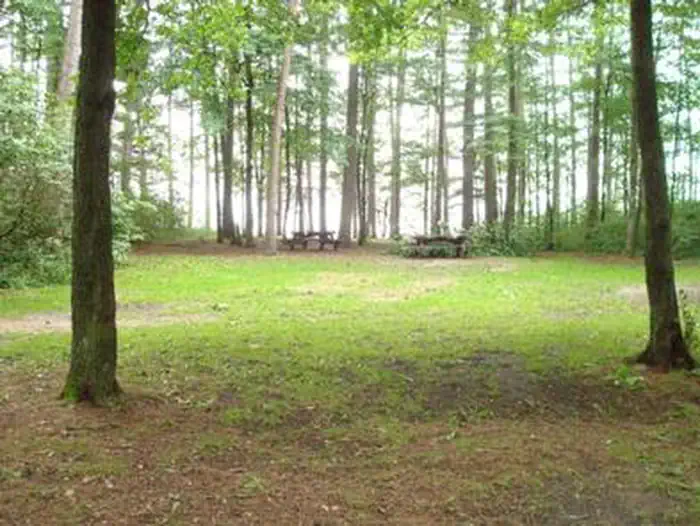 Winnie Campground - USFS photo