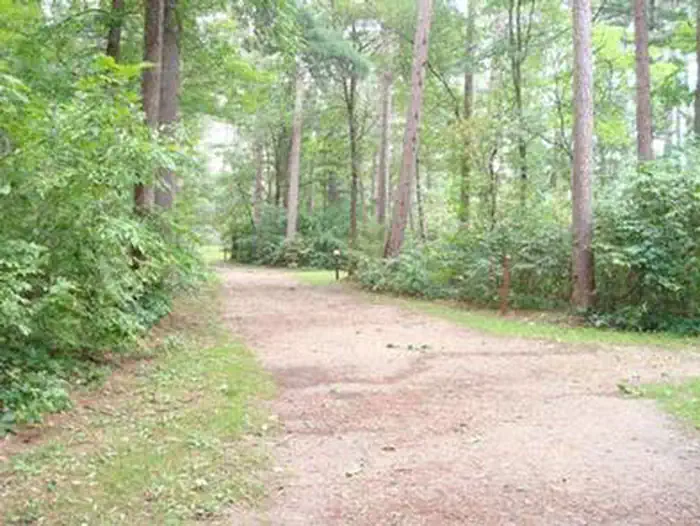 Winnie Campground - USFS photo 2