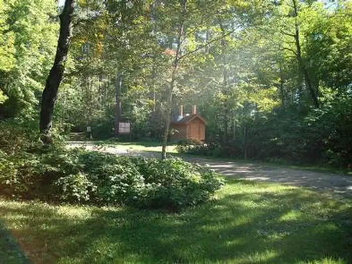 Winnie Campground - USFS photo 3
