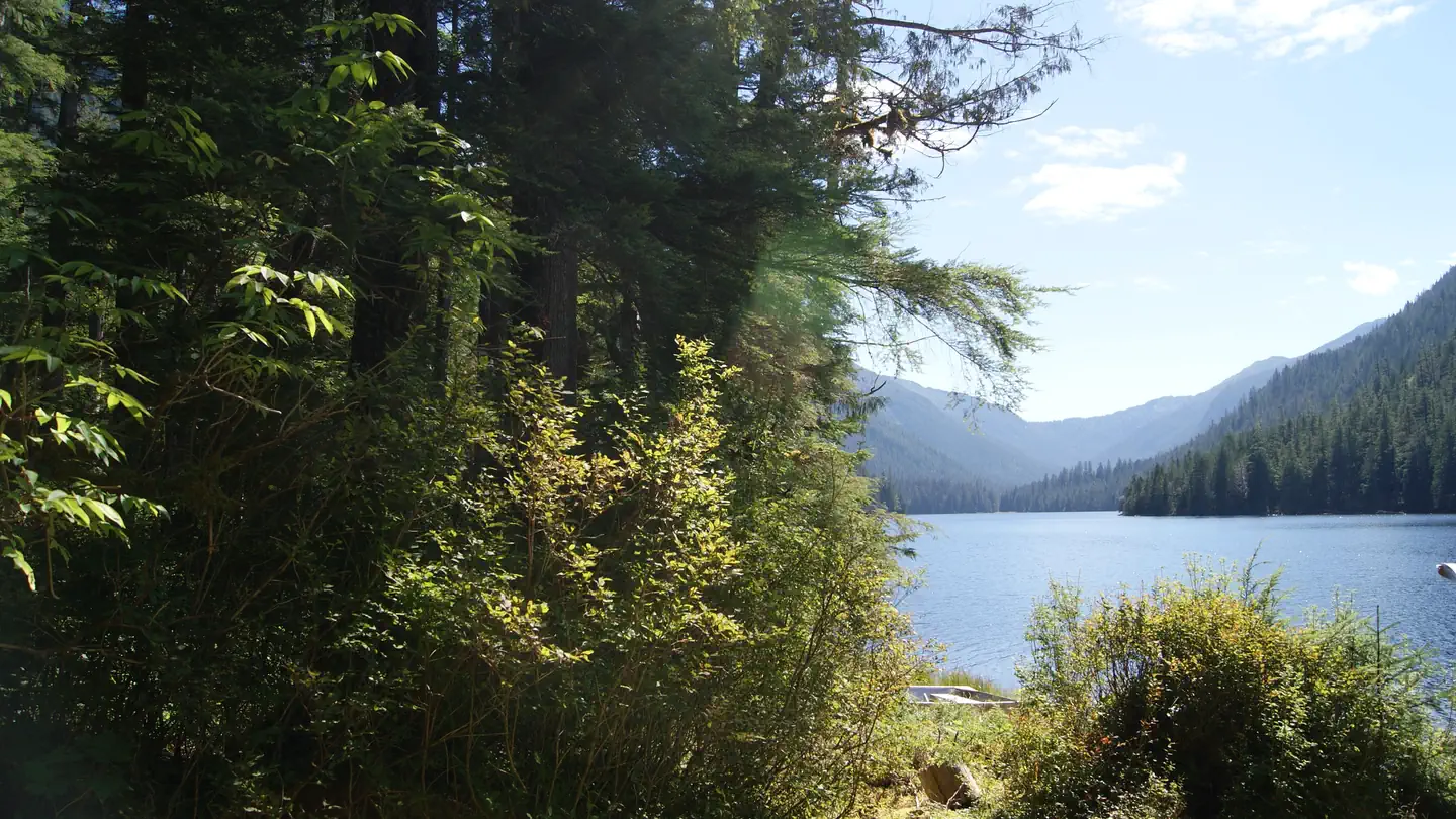 WINSTANLEY LAKE CABIN photo
