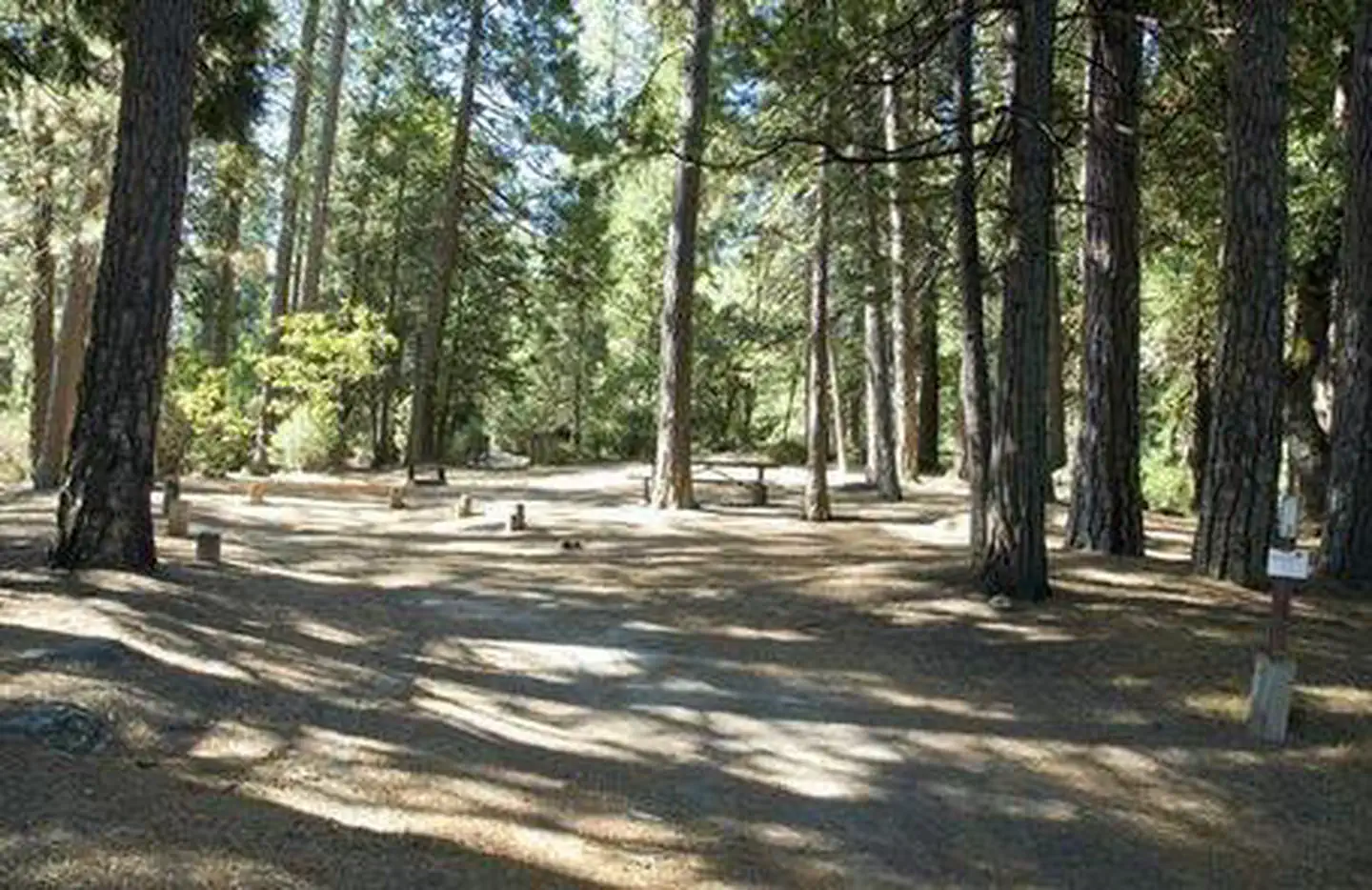 WISHON BASS LAKE photo 2