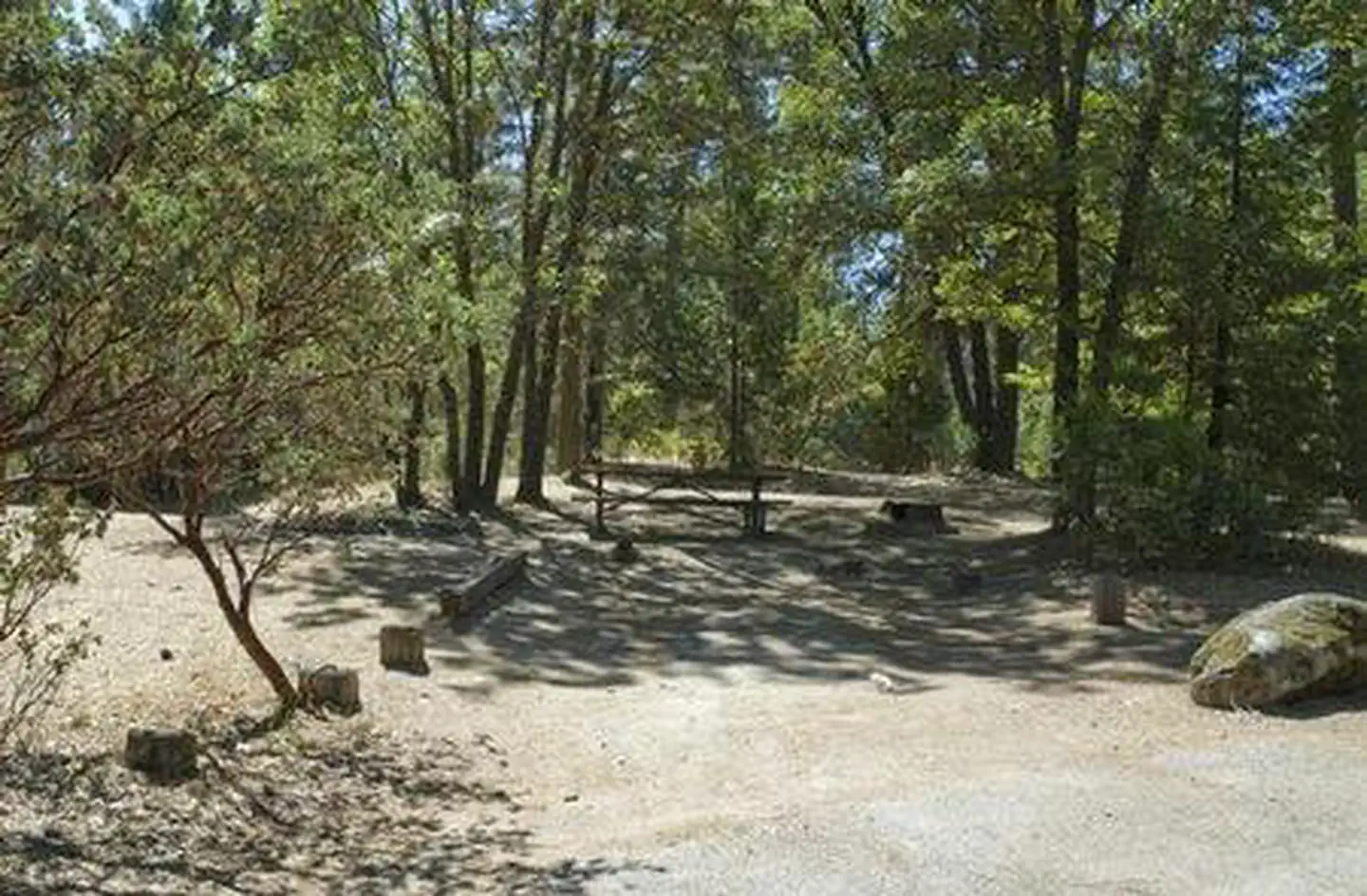 WISHON BASS LAKE photo 3