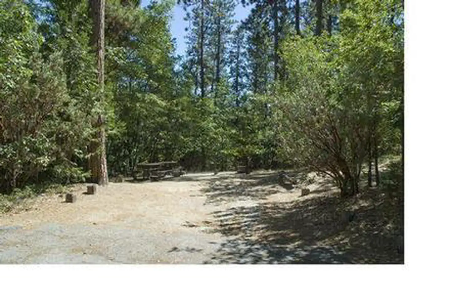 WISHON BASS LAKE photo 4