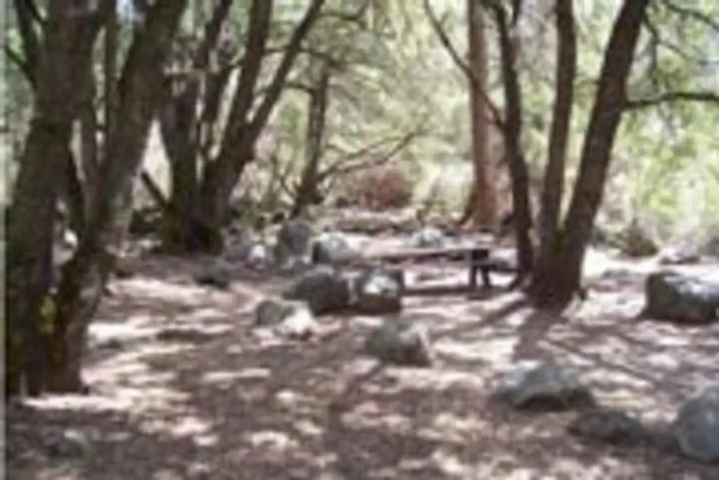 WISHON photo 5