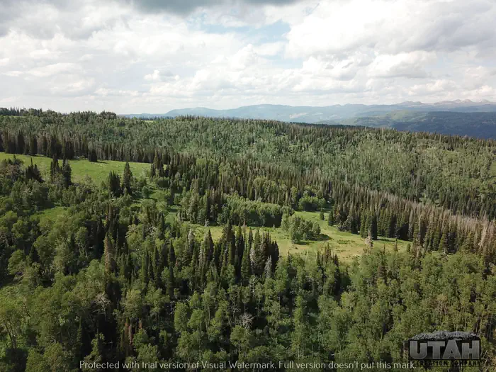 WOLF CREEK (UT) photo 3