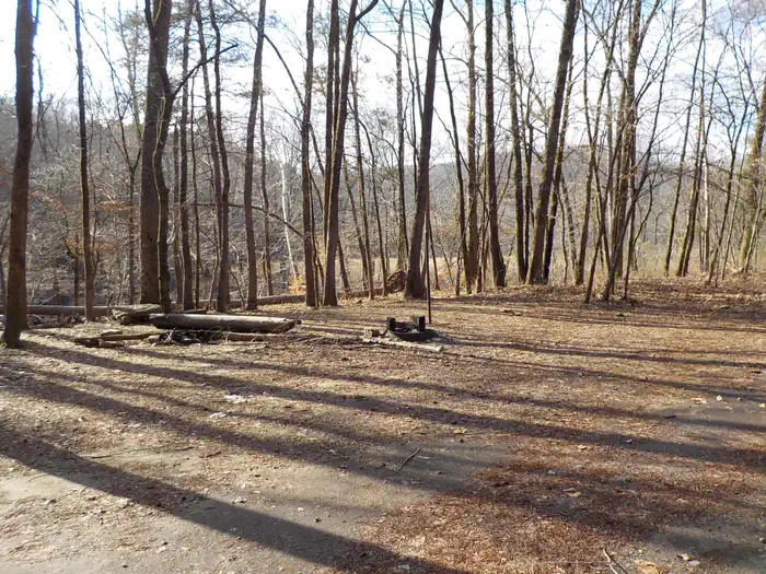 Wolf Pen Campground photo 3