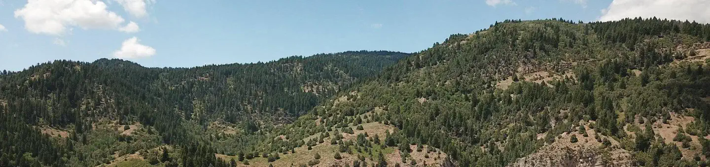 Wood Camp Campground (UT) photo
