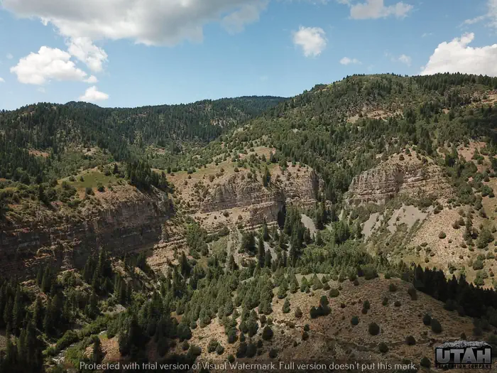 Wood Camp Campground (UT) photo 3