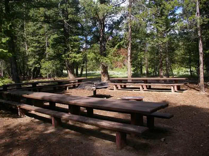 WOOD RIVER GROUP OVERNIGHT AREA (TENT ONLY) photo 2