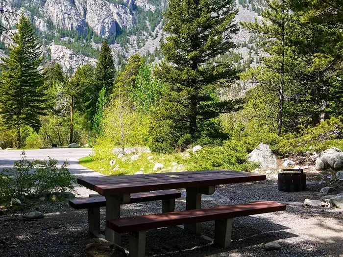 WOODBINE CAMPGROUND photo 3