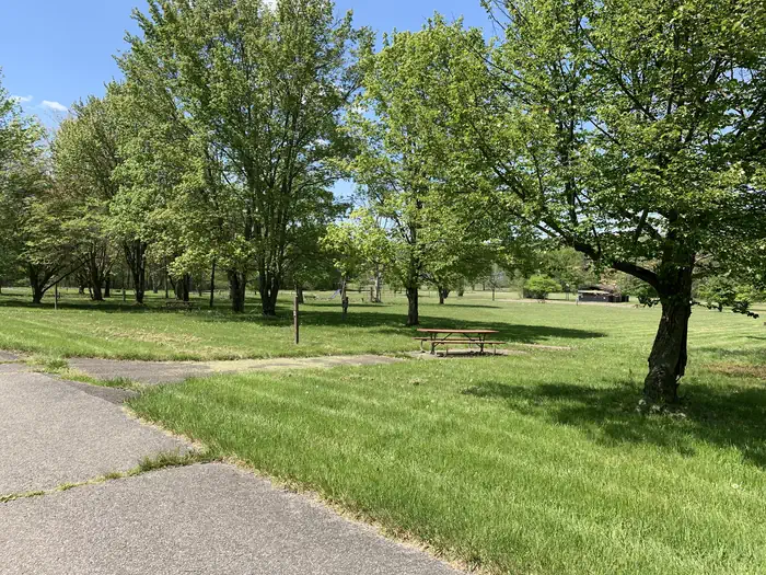 Woodcock Lake Park photo 3